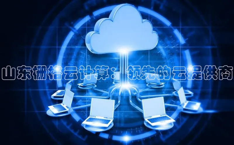 杏鑫注册平台官方网站百度安全社区山东栅格云计算：领先的云提供商