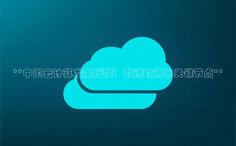 杏鑫注册平台官方网站ARGA公司**中国云计算发展历程：引进时间与关键节点**