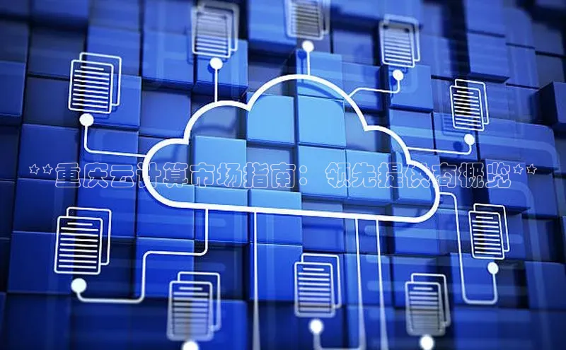 杏鑫平台注册官网百度网盘**重庆云计算市场指南：领先提供商概览**