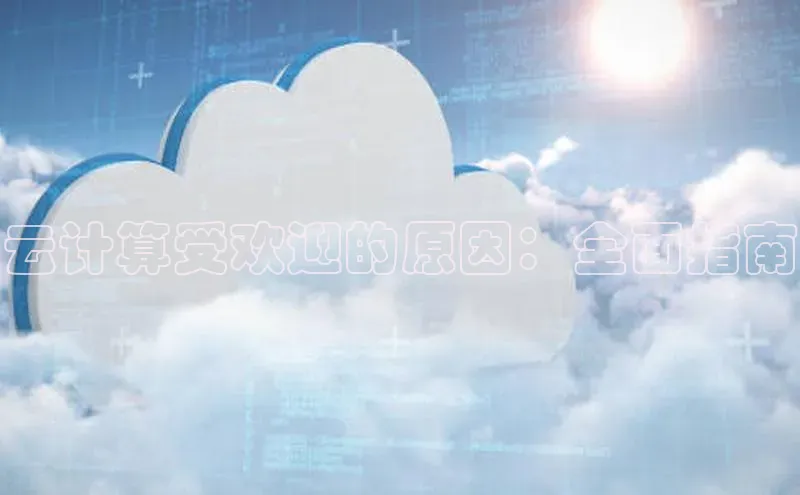 杏鑫平台开户百度搜索资源平台云计算受欢迎的原因：全面指南