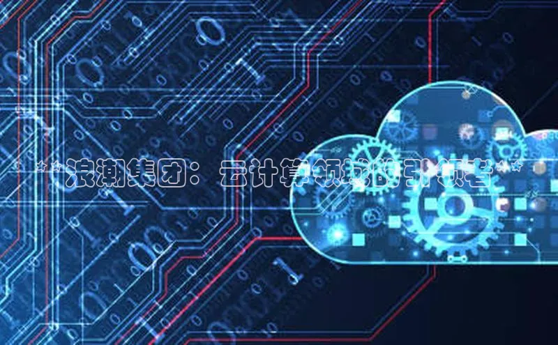 杏鑫注册平台官方网站百度安全社区**浪潮集团：云计算领域的引领者**