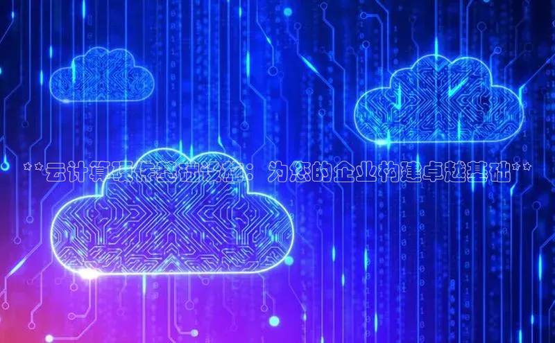 杏鑫平台手机登录入口神思电子**云计算硬件基础设施：为您的企业构建卓越基础**