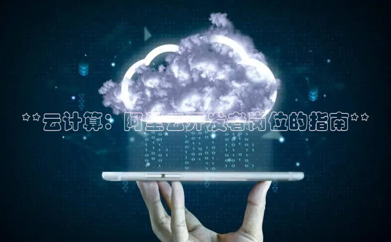 杏鑫平台注册登录百度网盘企业版**云计算：阿里云开发者岗位的指南**