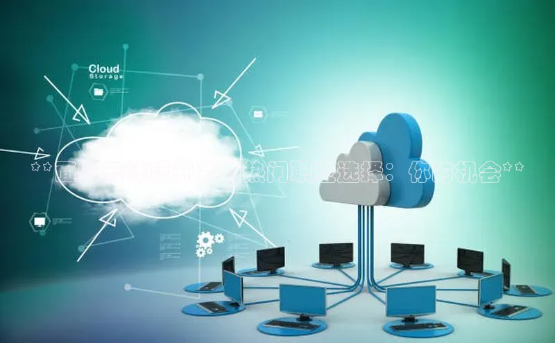 杏鑫注册登录代理挪威主权基金**面向云计算开发的热门职业选择：你的机会**