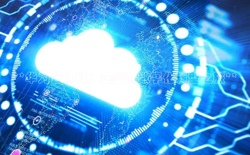 杏鑫注册登录代理度小满支付**华为云计算：企业的数字化转型之旅**