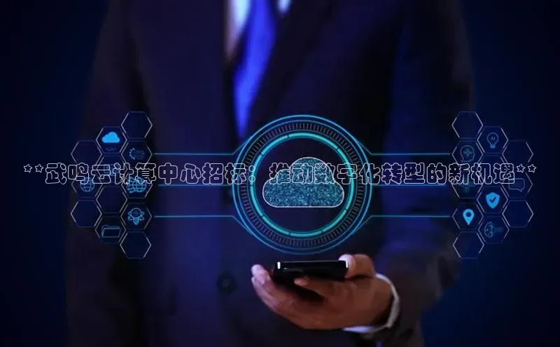 杏鑫登录测速百度社团赞助平台**武鸣云计算中心招标：推动数字化转型的新机遇**