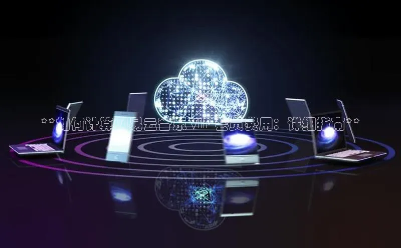 杏鑫注册登录代理挪威主权基金**如何计算网易云音乐 VIP 会员费用：详细指南**