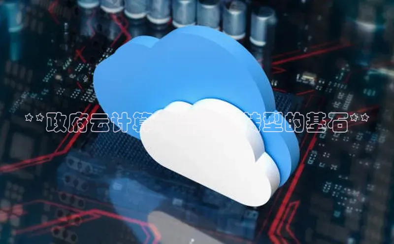杏鑫平台注册官网知乎**政府云计算：数字化转型的基石**