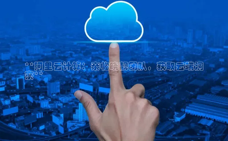 杏鑫彩票官网登录百度学术**阿里云计算：亲临晓靓团队，获取云端洞
察**