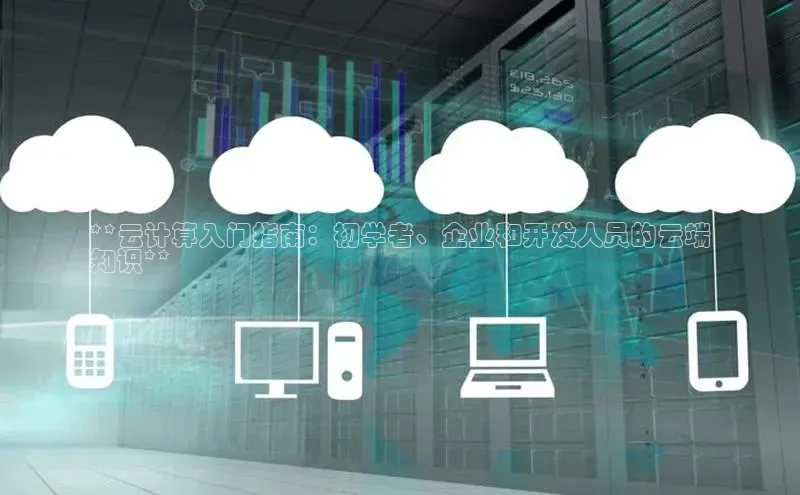 杏鑫平台开户百度搜索资源平台**云计算入门指南：初学者、企业和开发人员的云端
知识**