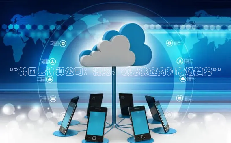 杏鑫平台登录地址极氪智能科技**韩国云计算公司：概览、领先供应商和市场趋势**