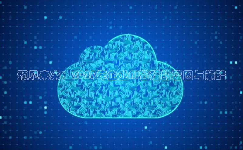 预见未来：2025年企业AI管理的蓝图与策略