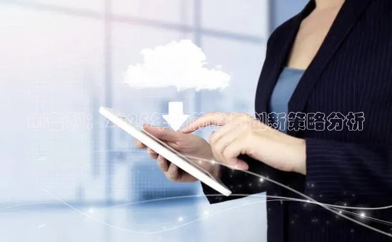 AI吉利：2025年的前瞻与创新策略分析